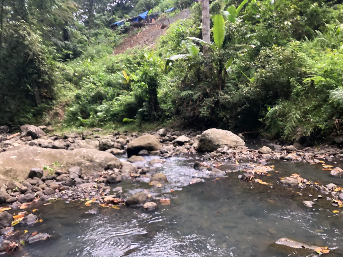 Indonesien: Abenteuer Traubenachat