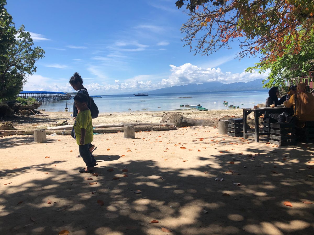 Indonesien: Die Inseln und Korallenriffs direkt vor Mamudju. Unbedingt einen Ausflug wert!