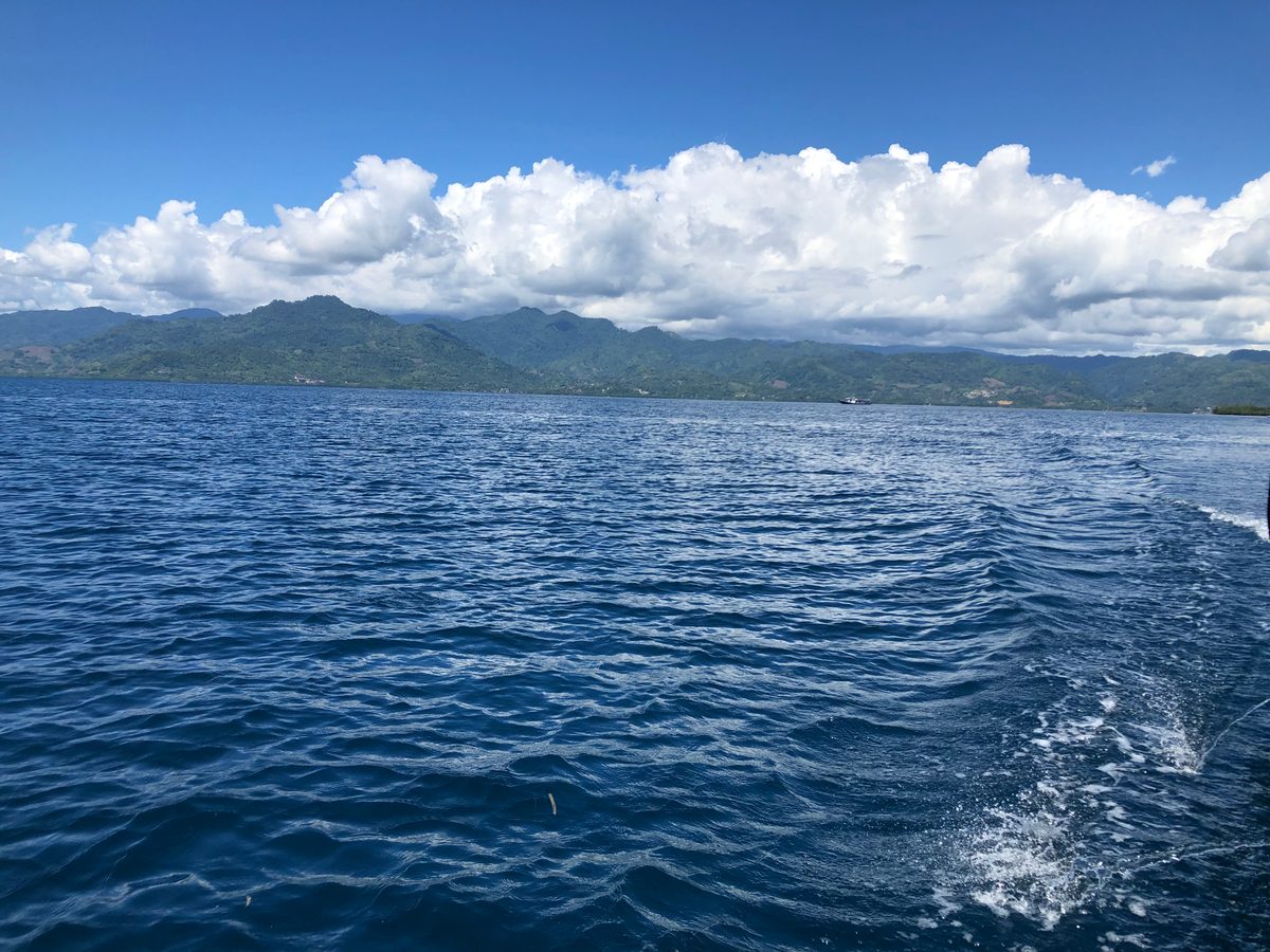 Indonesien: Die Inseln und Korallenriffs direkt vor Mamudju. Unbedingt einen Ausflug wert!