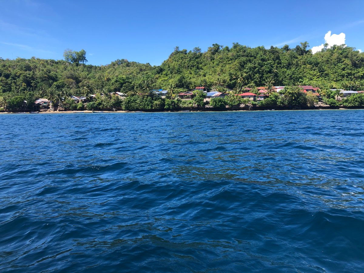 Indonesien: Die Inseln und Korallenriffs direkt vor Mamudju. Unbedingt einen Ausflug wert!