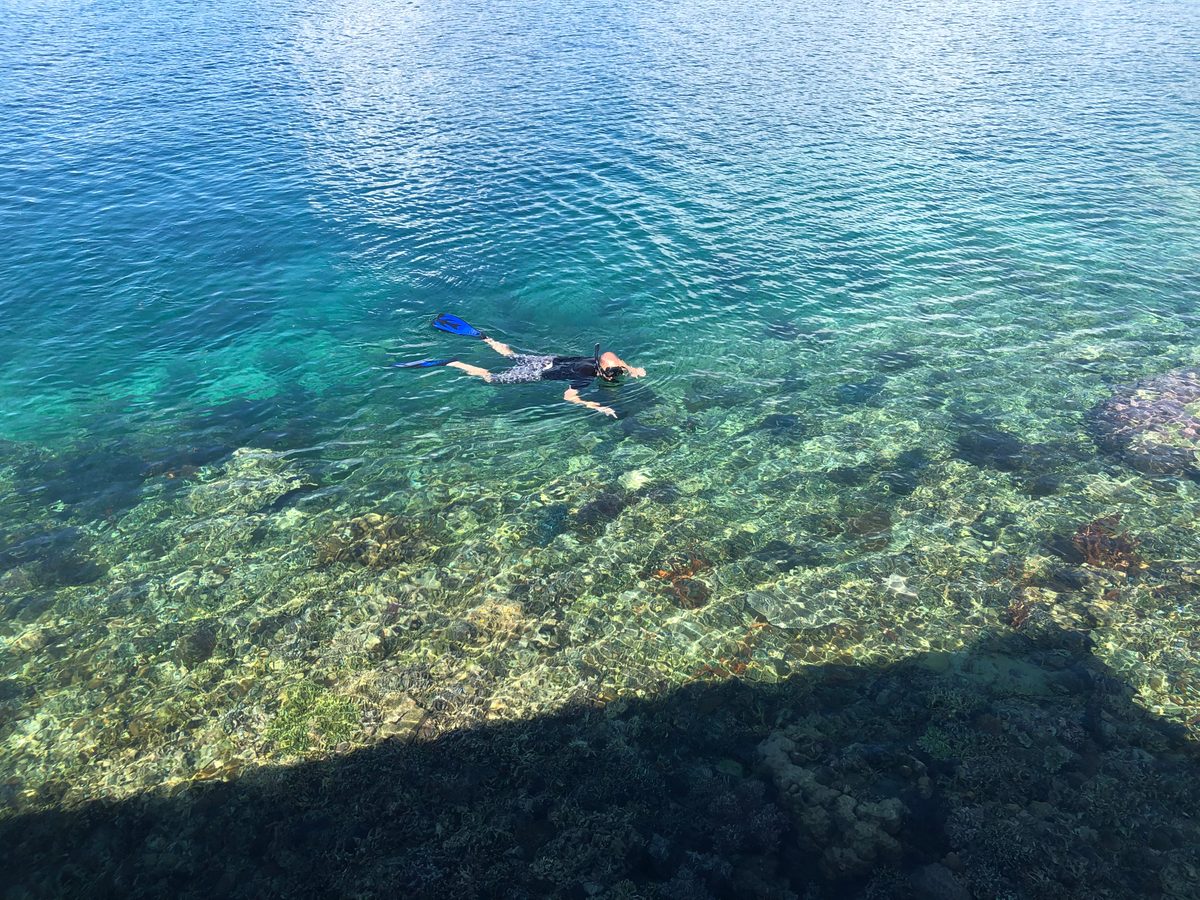 Indonesien: Die Inseln und Korallenriffs direkt vor Mamudju. Unbedingt einen Ausflug wert!