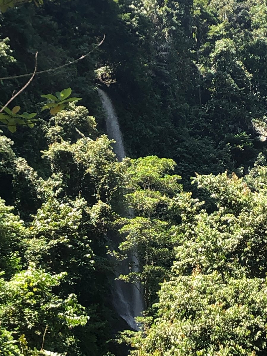Indonesien: Die Umgebung von Mamudju