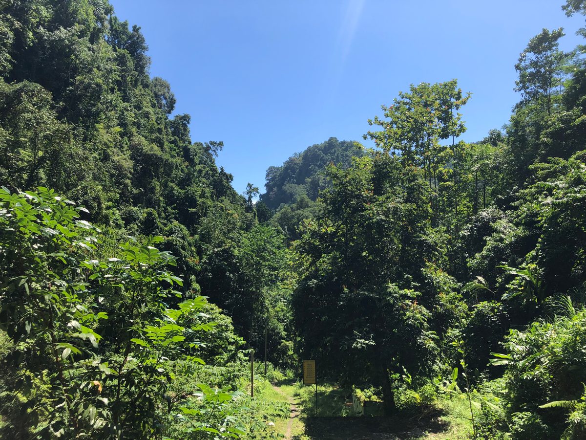 Indonesien: Die Umgebung von Mamudju