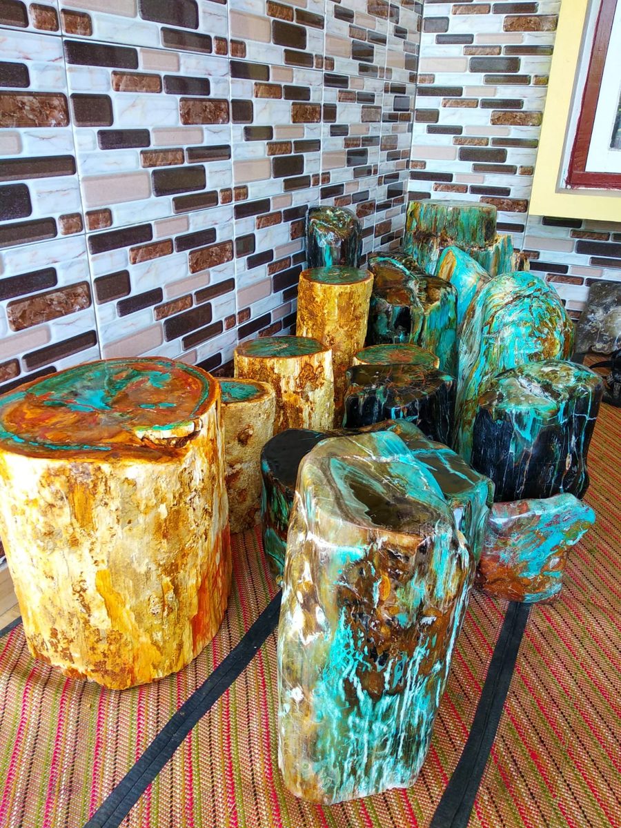 Indonesien: Verschiedene versteinerte Hölzer aus Garut, Java darunter viele mit Opal und/oder Chrysocoll