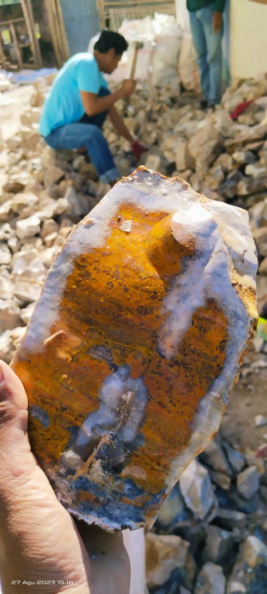 Indonesien: Auripigment in Quarz, der sog. „Bumble Bee Jasper“