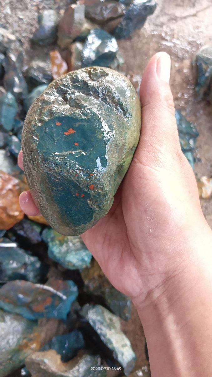 Indonesien: Heliotrop Sumatra