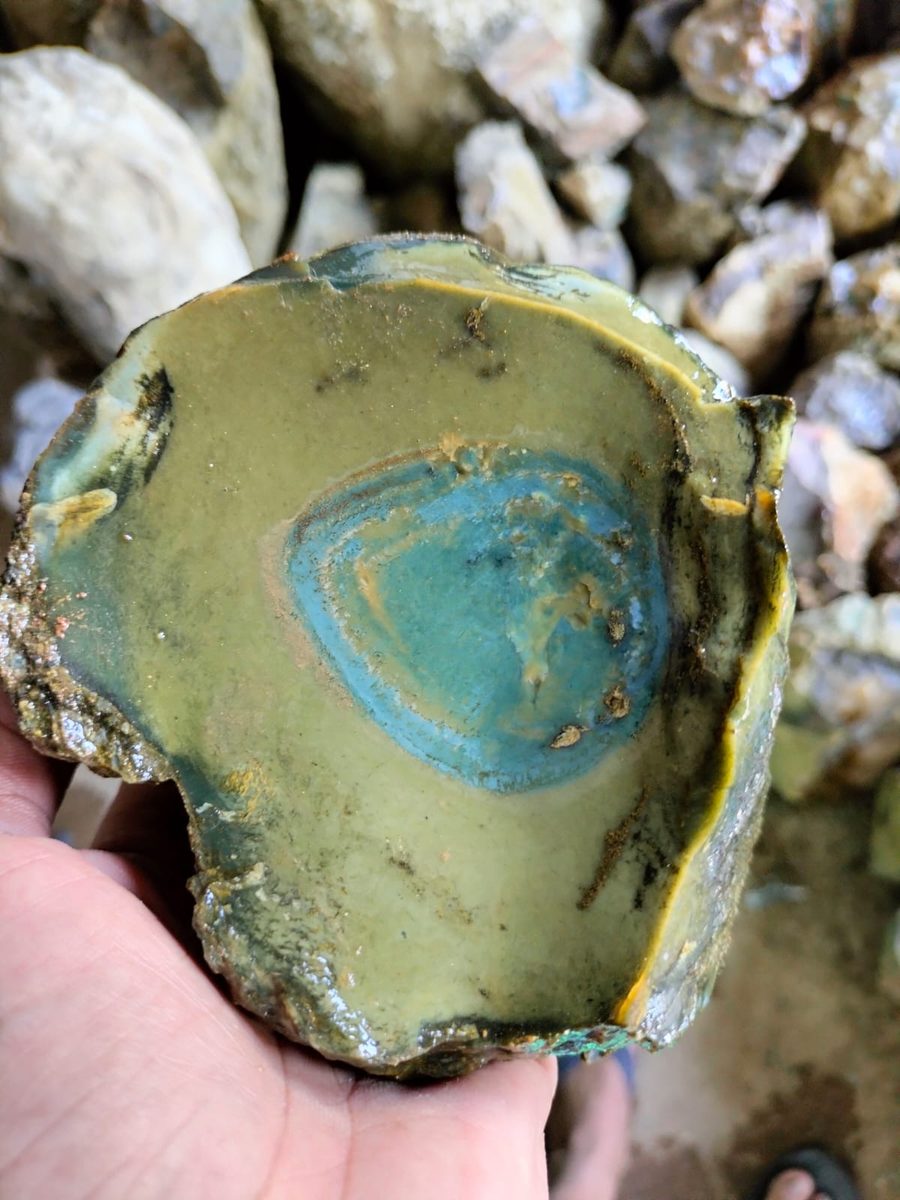 Indonesien: Verschiedene versteinerte Hölzer aus Garut, Java darunter viele mit Opal und/oder Chrysocoll