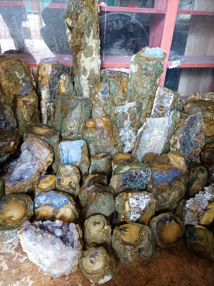 Indonesien: Verschiedene versteinerte Hölzer aus Garut, Java darunter viele mit Opal und/oder Chrysocoll
