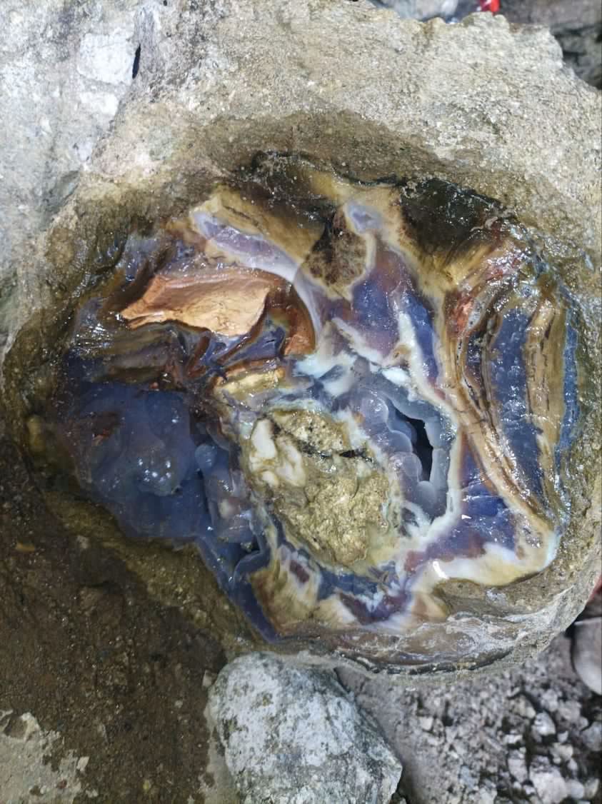 Indonesien: Verschiedene versteinerte Hölzer aus Garut, Java darunter viele mit Opal und/oder Chrysocoll