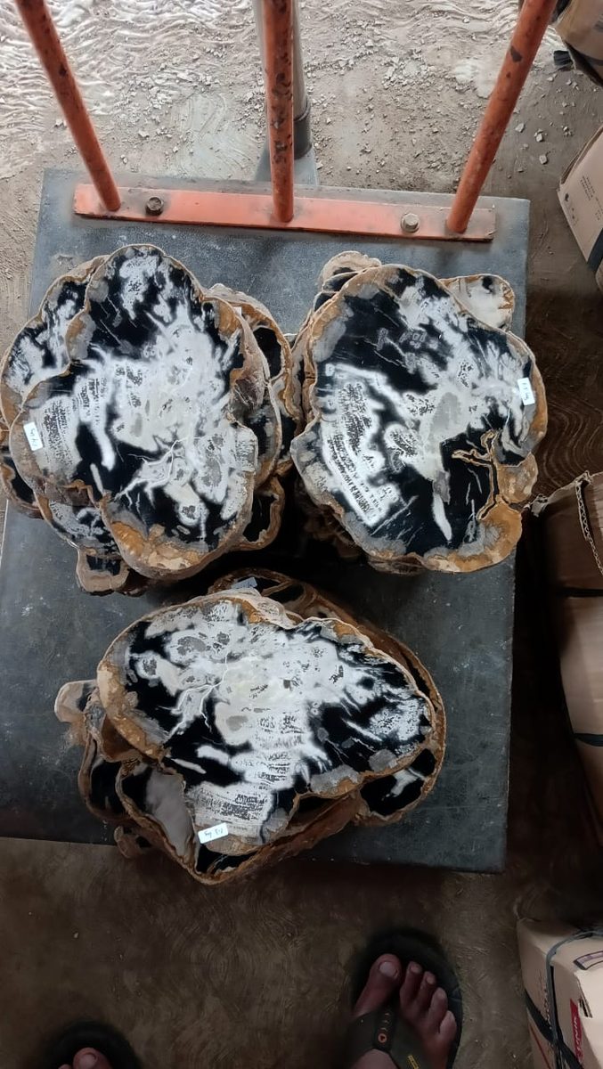 Indonesien: Verschiedene versteinerte Hölzer aus Garut, Java darunter viele mit Opal und/oder Chrysocoll
