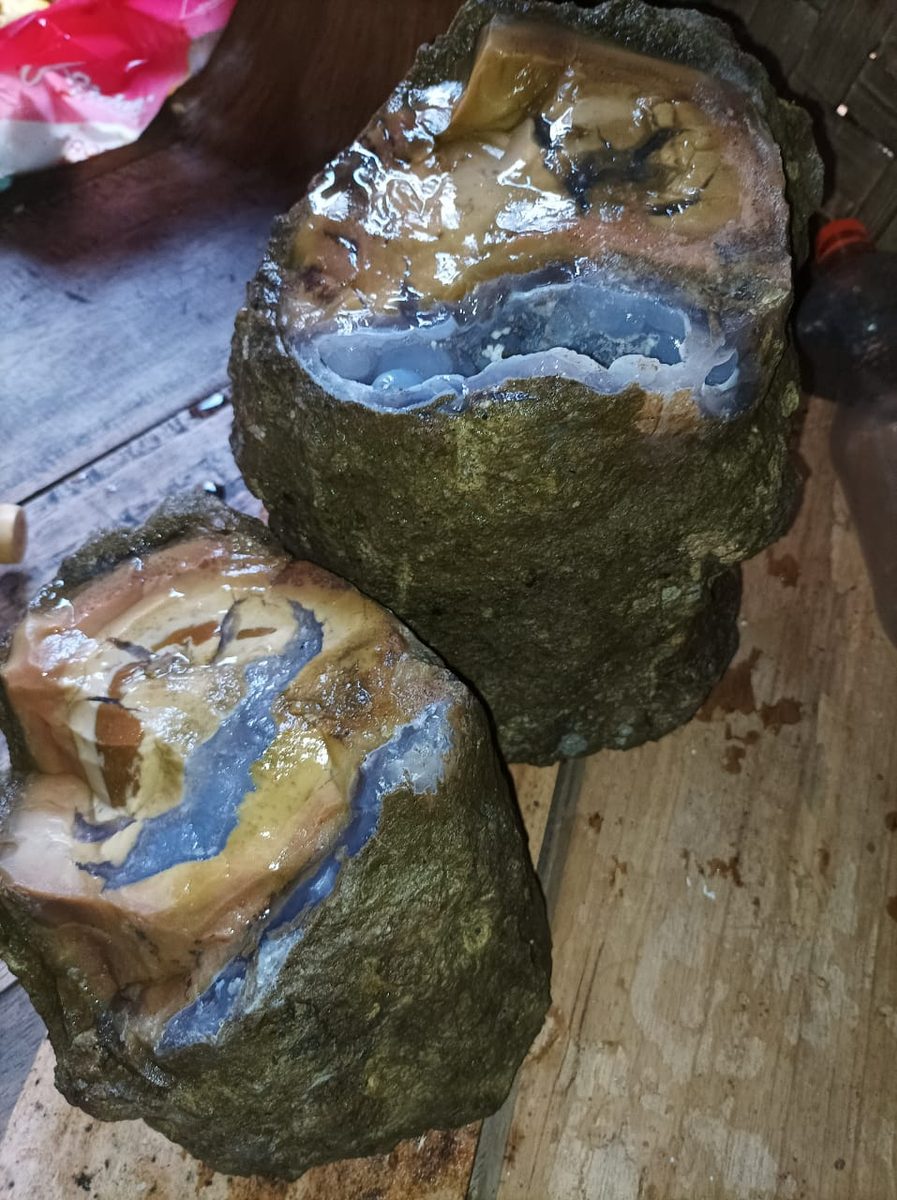 Indonesien: Verschiedene versteinerte Hölzer aus Garut, Java darunter viele mit Opal und/oder Chrysocoll