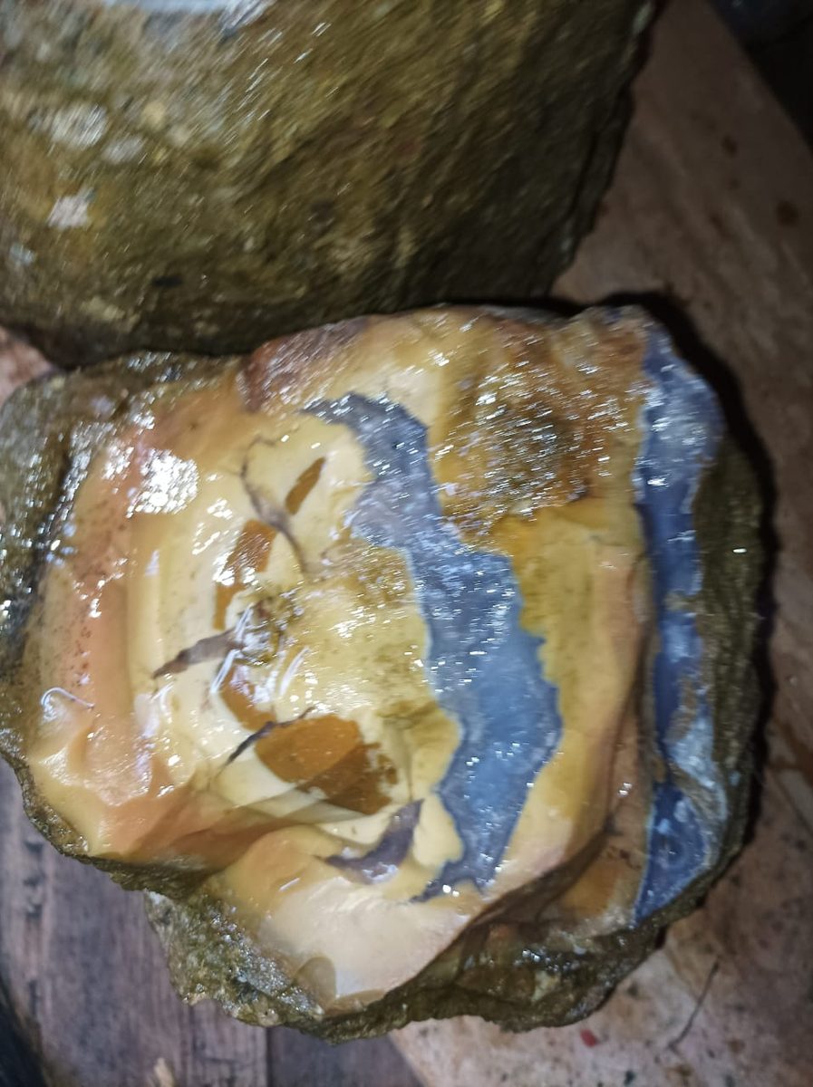 Indonesien: Verschiedene versteinerte Hölzer aus Garut, Java darunter viele mit Opal und/oder Chrysocoll