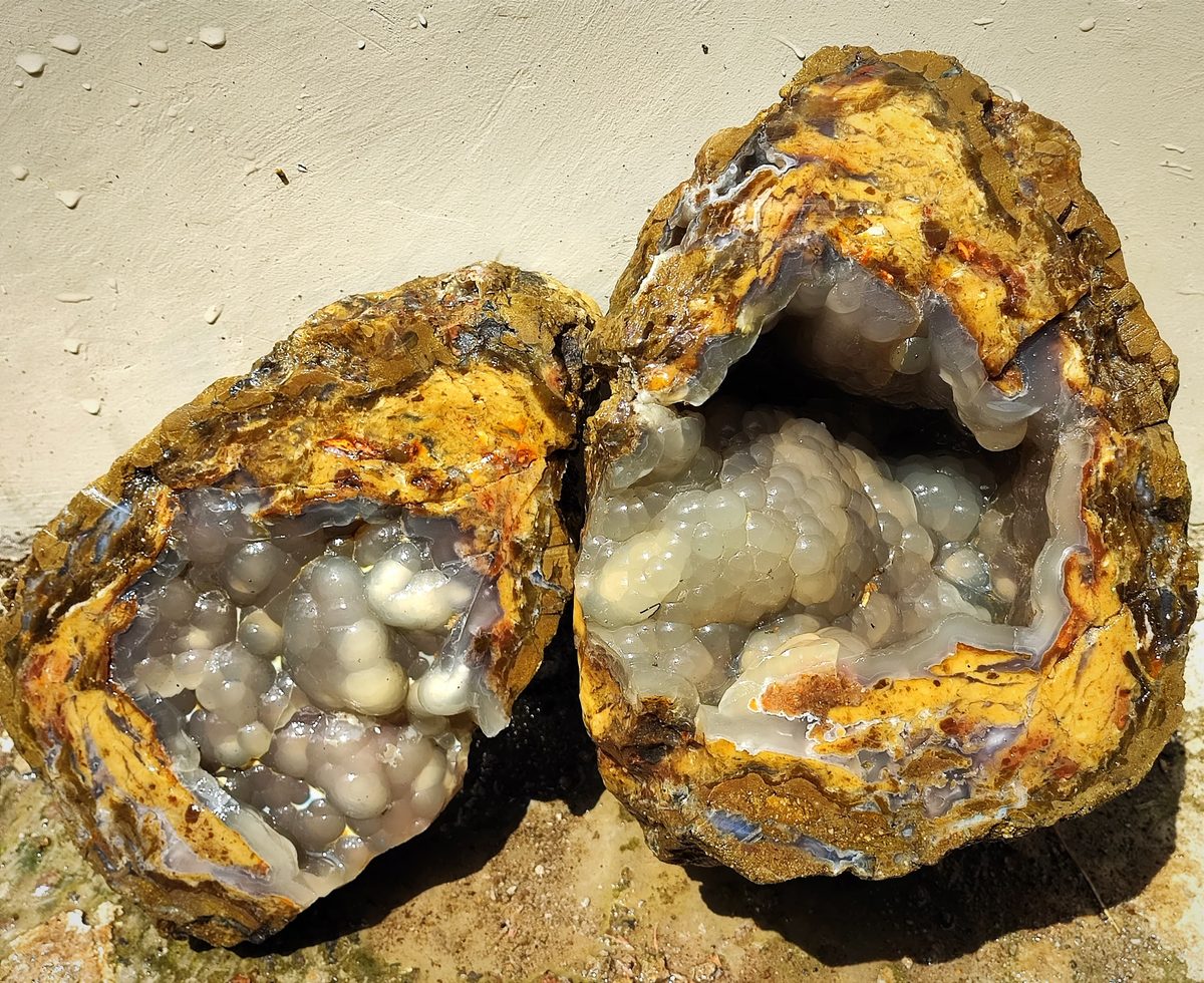 Indonesien: Verschiedene versteinerte Hölzer aus Garut, Java darunter viele mit Opal und/oder Chrysocoll