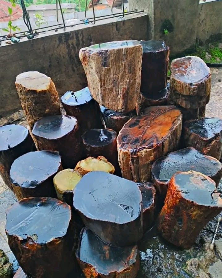 Indonesien: Verschiedene versteinerte Hölzer aus Garut, Java darunter viele mit Opal und/oder Chrysocoll