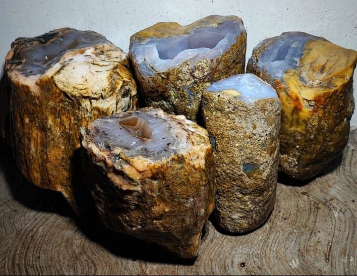 Indonesien: Verschiedene versteinerte Hölzer aus Garut, Java darunter viele mit Opal und/oder Chrysocoll