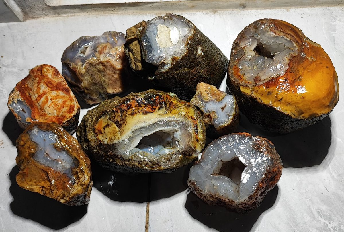 Indonesien: Verschiedene versteinerte Hölzer aus Garut, Java darunter viele mit Opal und/oder Chrysocoll