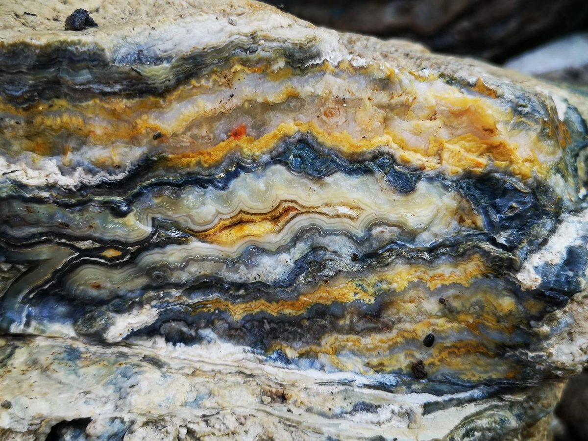 Indonesien: Auripigment in Quarz, der sog. „Bumble Bee Jasper“