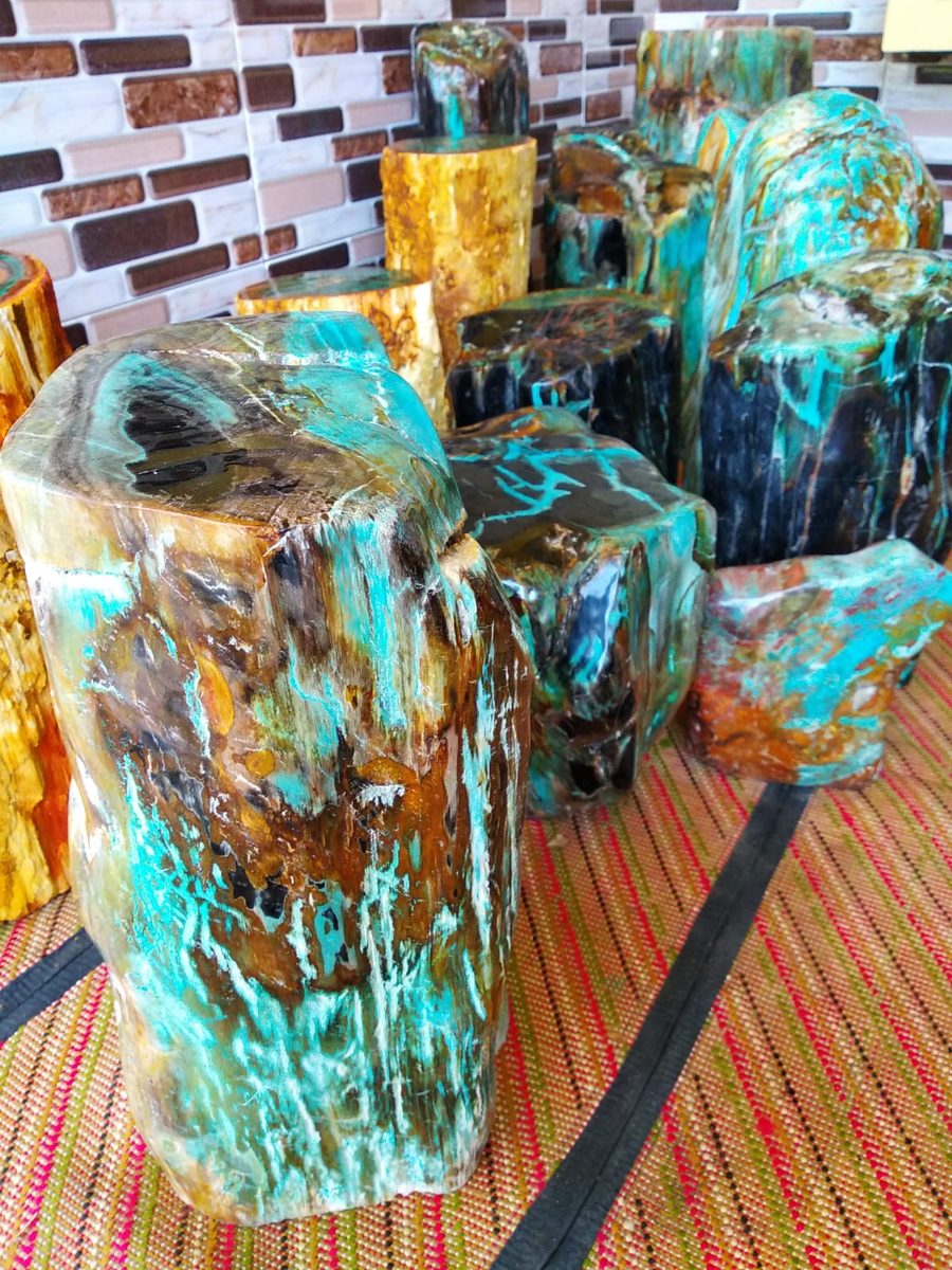 Indonesien: Verschiedene versteinerte Hölzer aus Garut, Java darunter viele mit Opal und/oder Chrysocoll