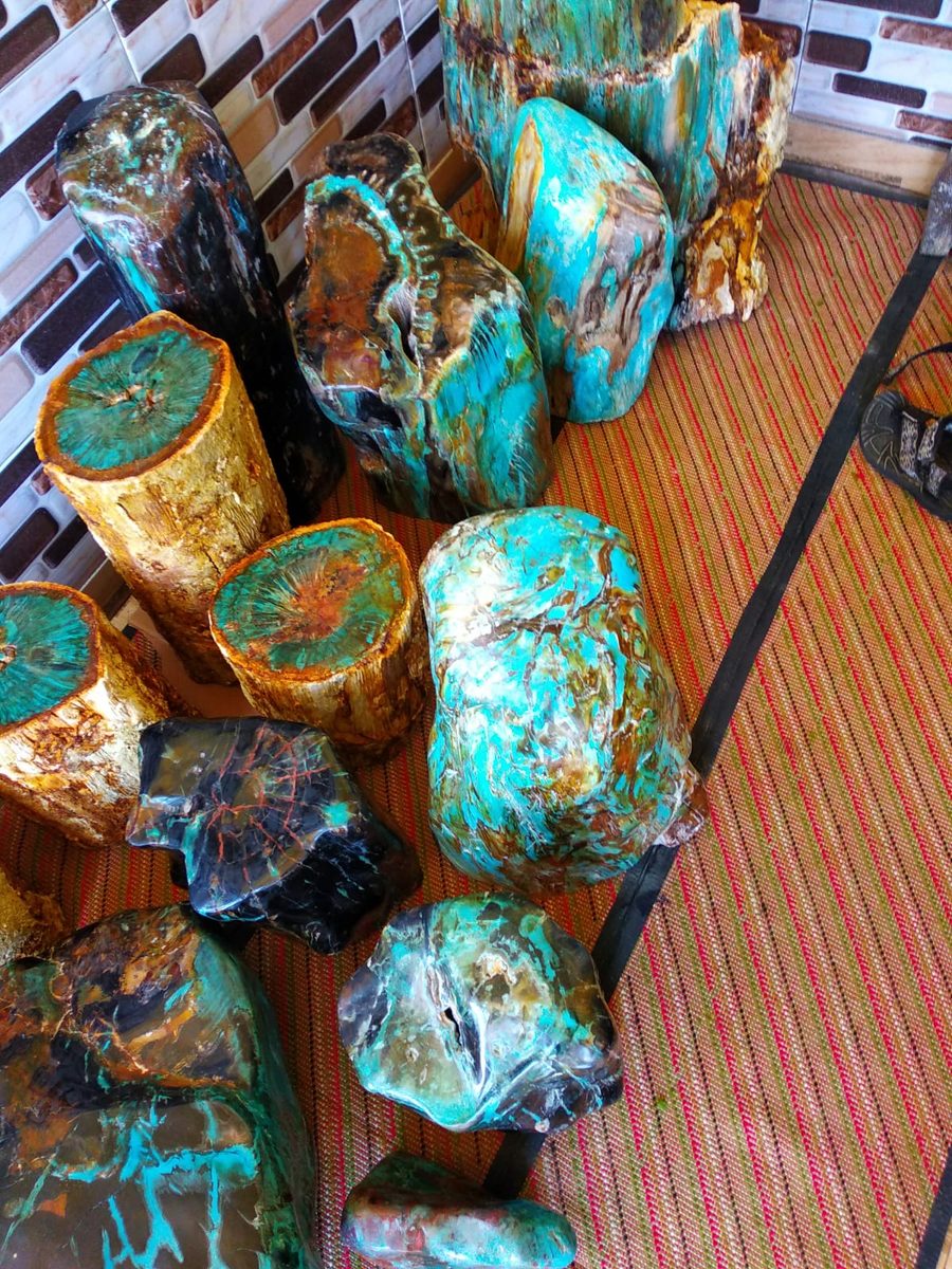 Indonesien: Verschiedene versteinerte Hölzer aus Garut, Java darunter viele mit Opal und/oder Chrysocoll