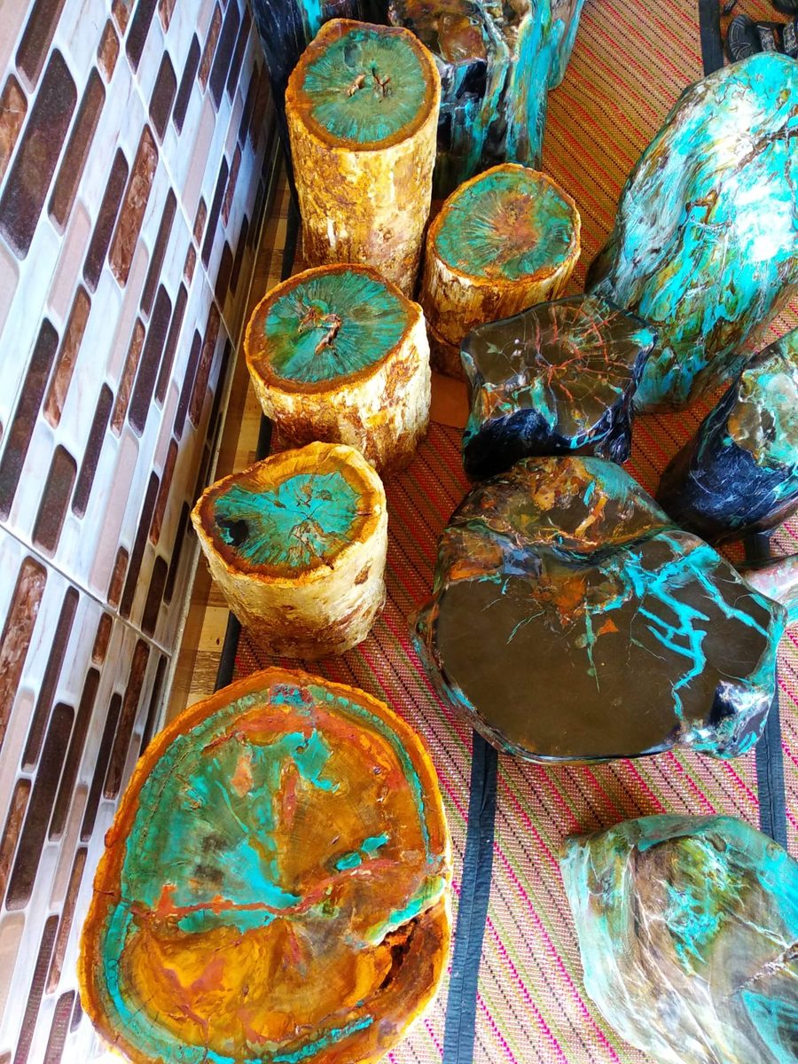 Indonesien: Verschiedene versteinerte Hölzer aus Garut, Java darunter viele mit Opal und/oder Chrysocoll
