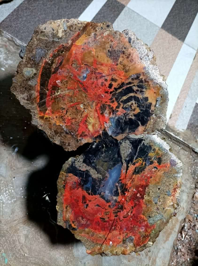 Indonesien: Ged. Kupfer, Cuprit und Chrysokoll in versteinertem Holz aus Garut, Java