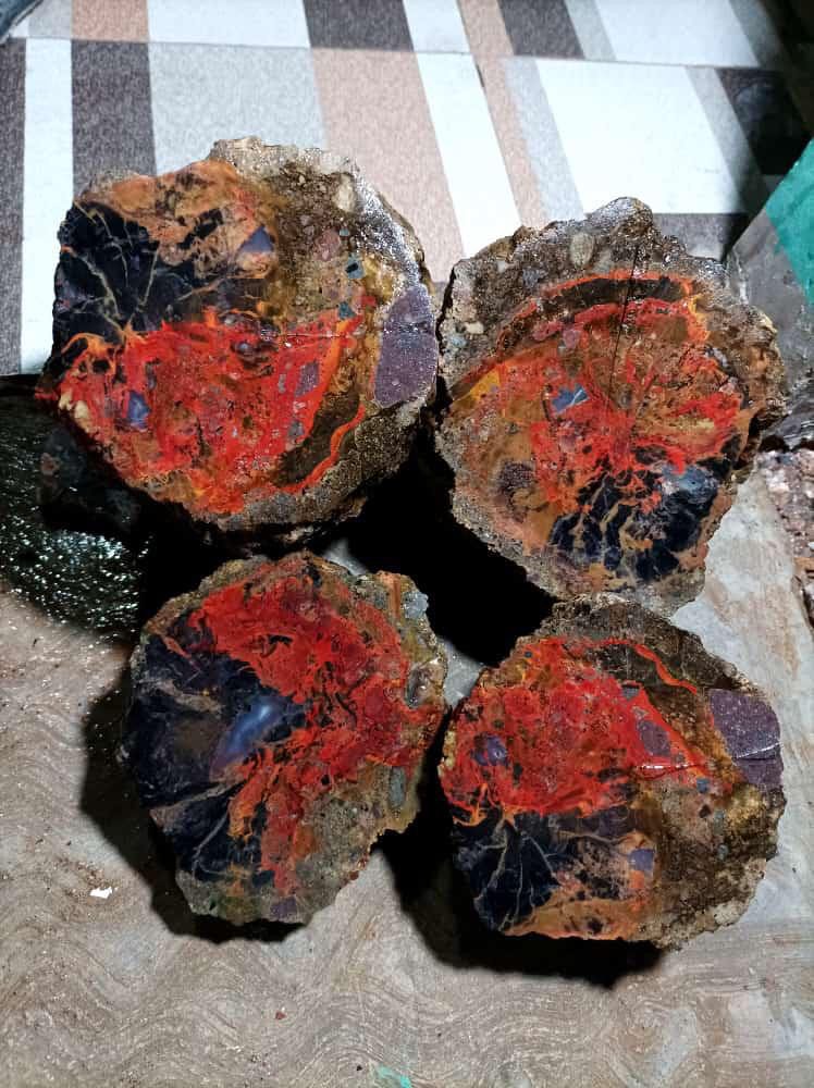 Indonesien: Ged. Kupfer, Cuprit und Chrysokoll in versteinertem Holz aus Garut, Java