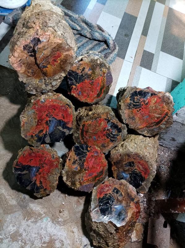 Indonesien: Ged. Kupfer, Cuprit und Chrysokoll in versteinertem Holz aus Garut, Java