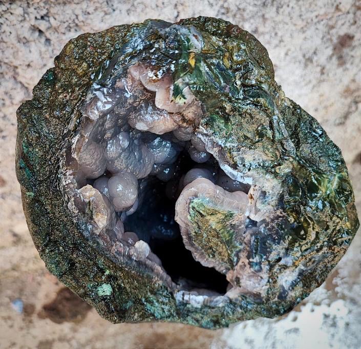 Indonesien: Verschiedene versteinerte Hölzer aus Garut, Java darunter viele mit Opal und/oder Chrysocoll