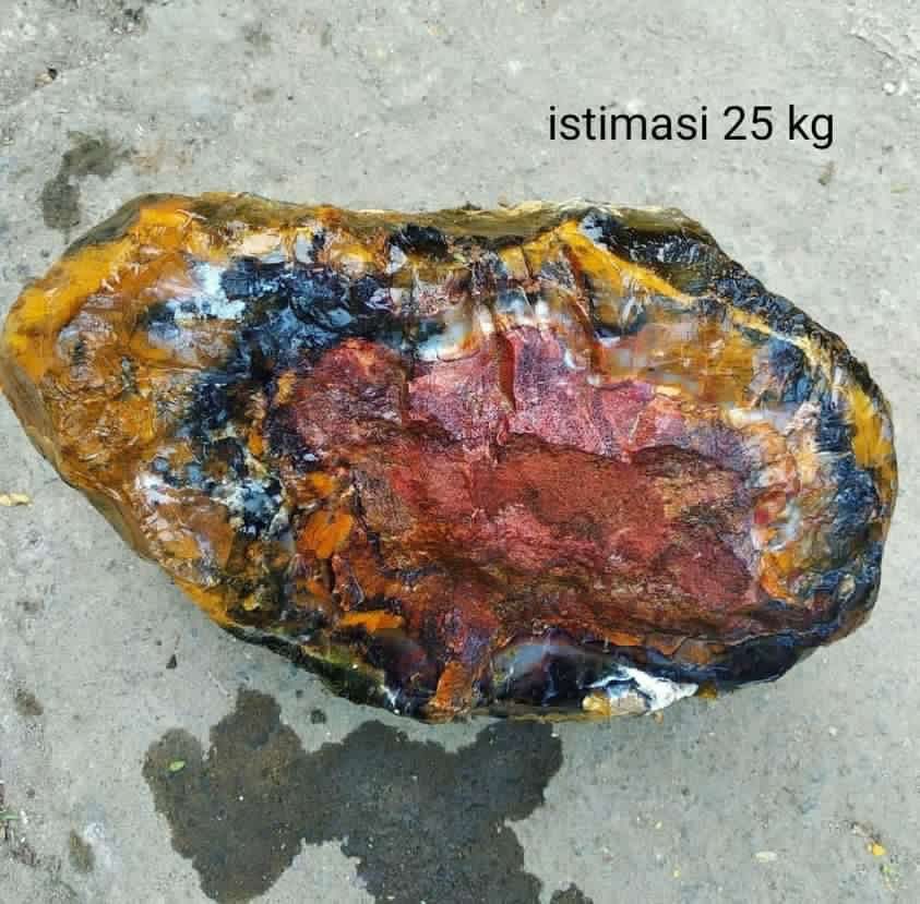 Indonesien: Verschiedene versteinerte Hölzer aus Garut, Java darunter viele mit Opal und/oder Chrysocoll