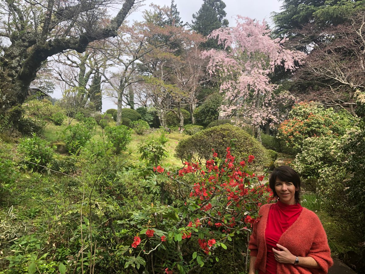 Japan: Die Kirschblüte und die Parks der Umgebung von Hakone, z.T. mit Blick auf den Fujiyama