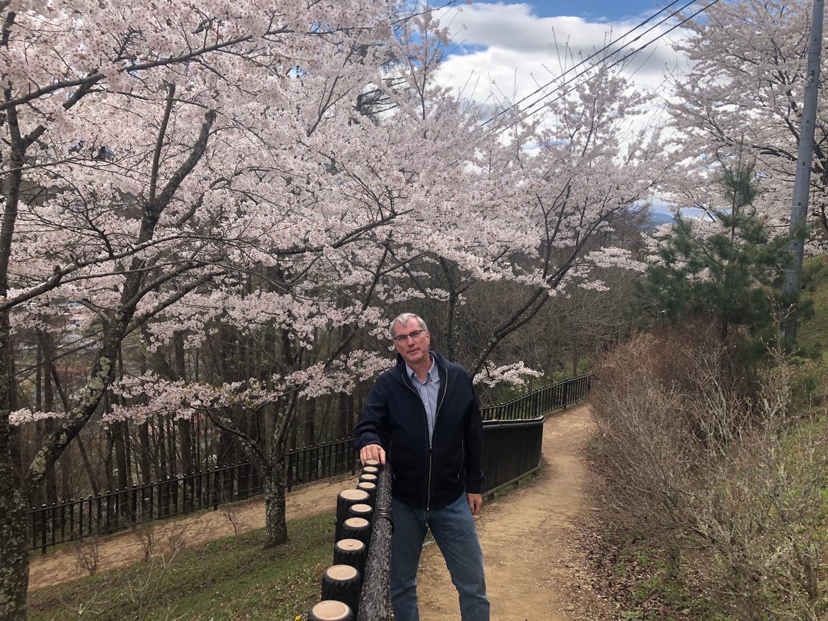 Japan: Die Kirschblüte und die Parks der Umgebung von Hakone, z.T. mit Blick auf den Fujiyama