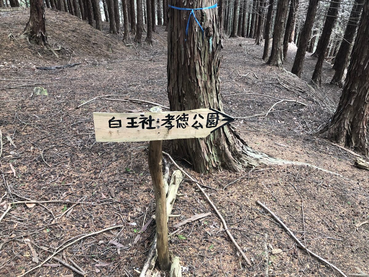 Japan: Orientierung vor Ort im Wald: Alles ist super ausgeschildert…wer es lesen kann…!