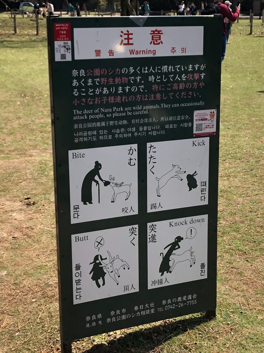 Japan: Nara und die heiligen Rehe