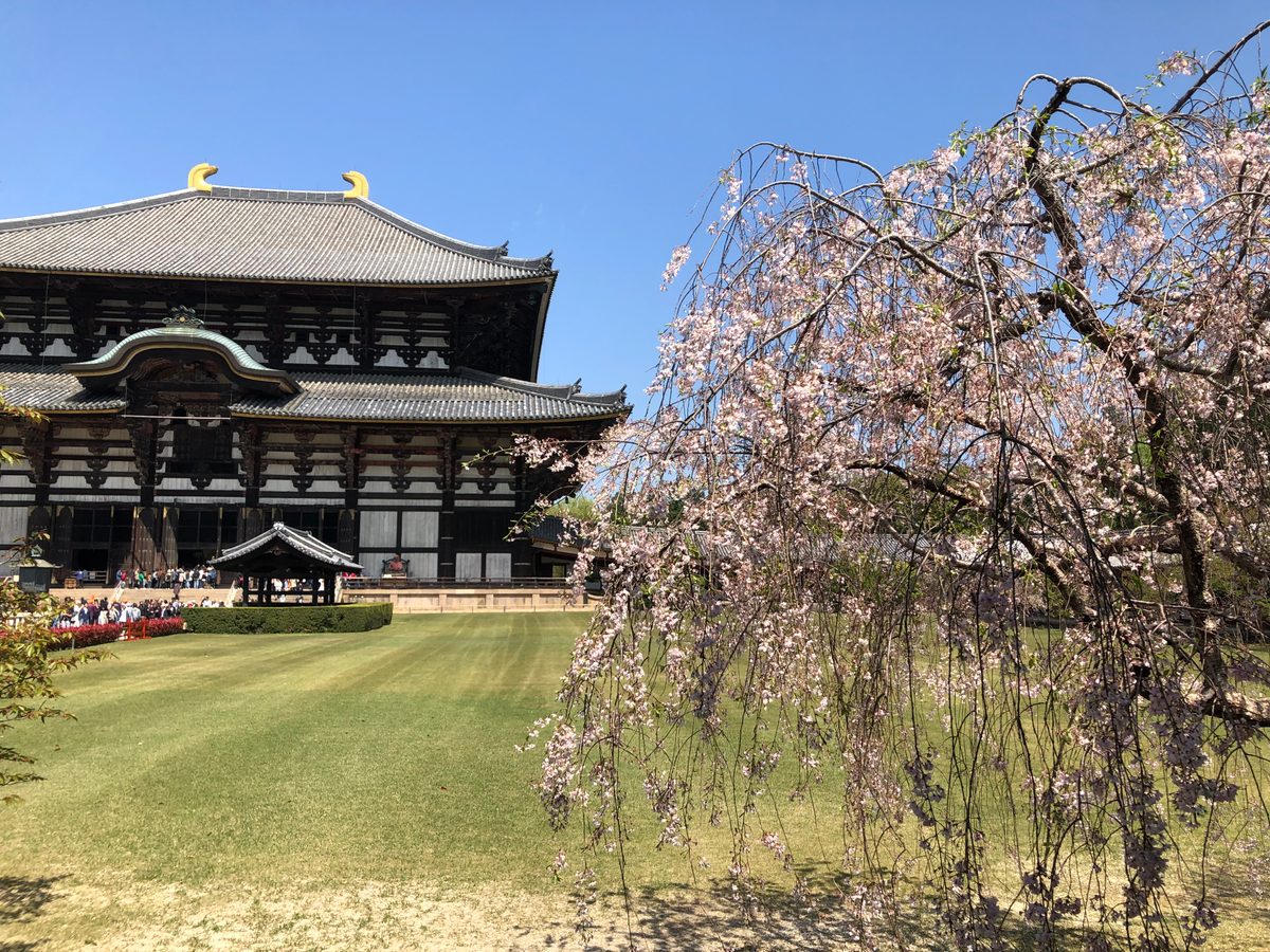 Japan: Historische Sehenswürdigkeiten in der Umgebung von Osaka