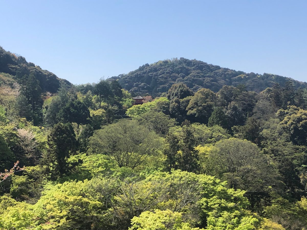 Japan: Historische Sehenswürdigkeiten in der Umgebung von Osaka