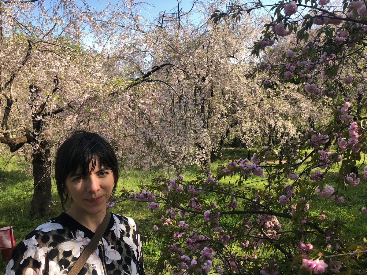 Japan: Die Kirschblüte und die Parks der Umgebung von Hakone, z.T. mit Blick auf den Fujiyama