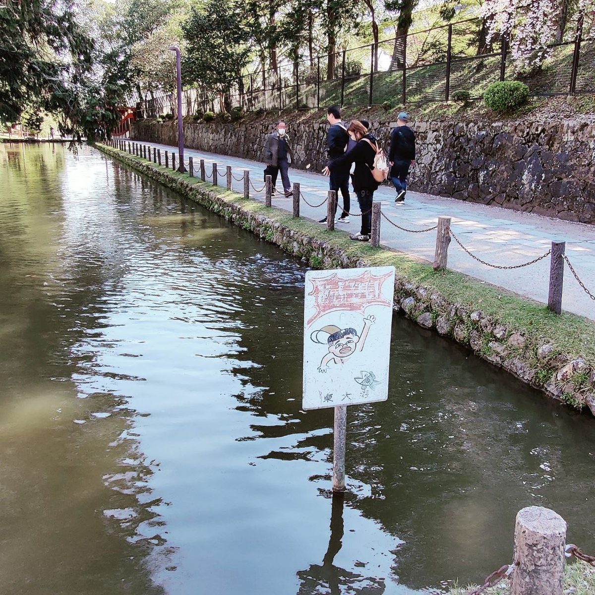 Japan: Hinweise finden sich für alles, so auch auf Killerschlangen und Killerfische!