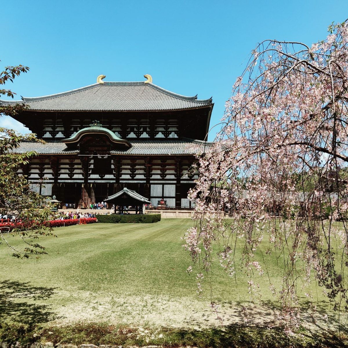 Japan: Historische Sehenswürdigkeiten in der Umgebung von Osaka
