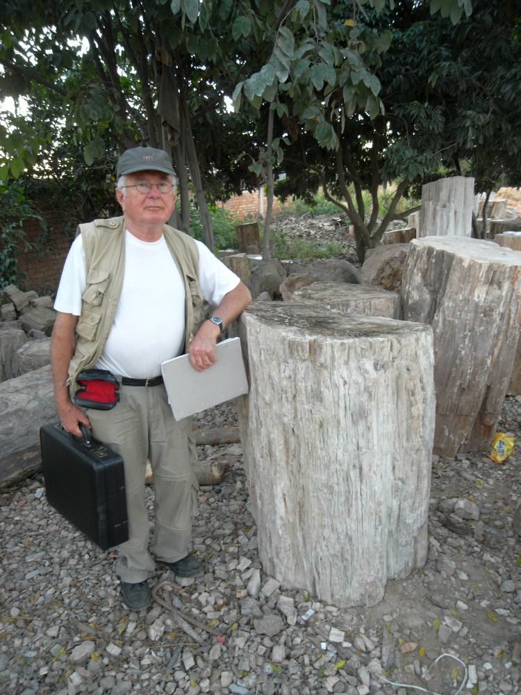 Madagaskar: Fossile Baumstämme