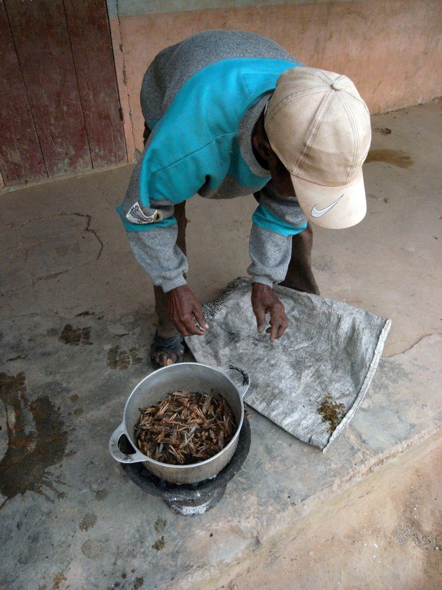 Madagaskar: Frühstück in Maize: es gibt gesottene Heuschrecken, ganz frisch, der Schwarm kam erst einen Tag vorh