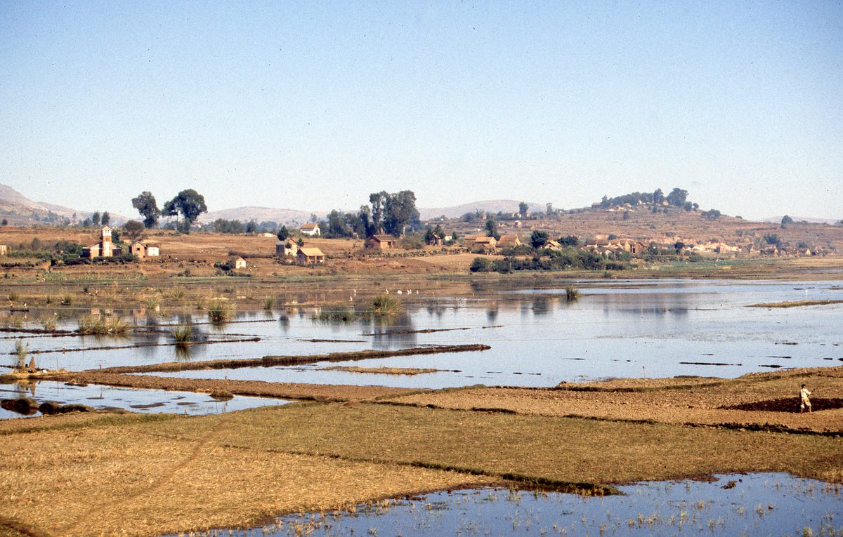 Madagaskar: Reisfelder in der Umgebung von Antsirabe