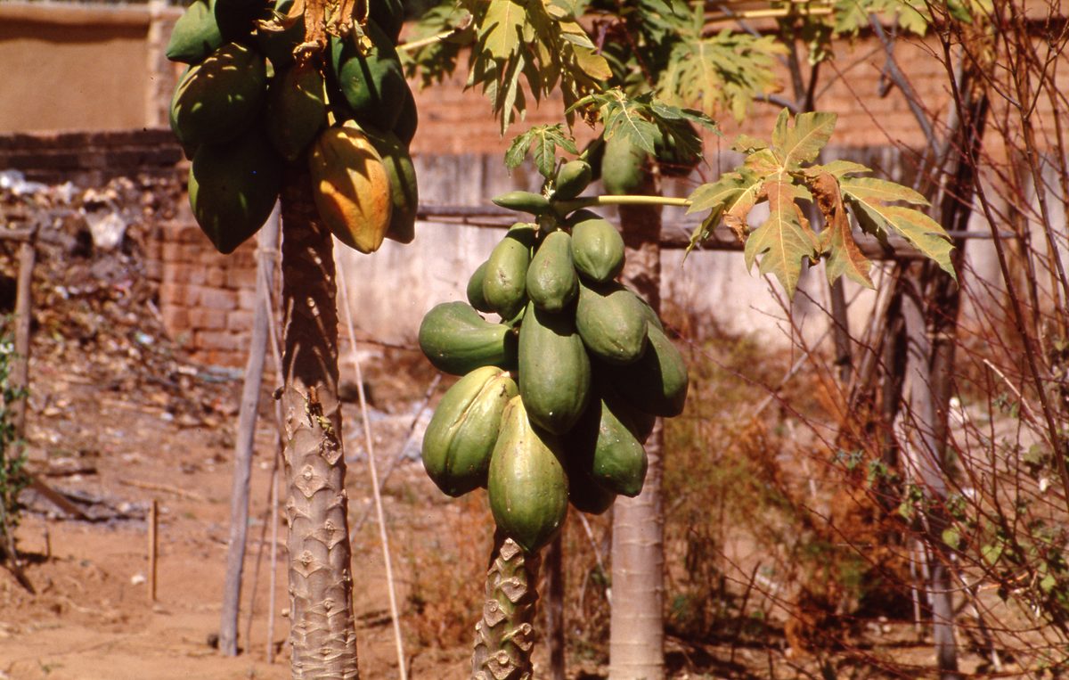 Madagaskar: Impressionen aus der Stadt Antsirabe
