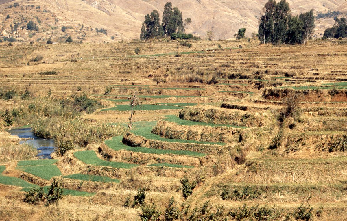 Madagaskar: Auf dem Weg zu den Quarz Minen außerhalb von Maize mit Herrn Justin.