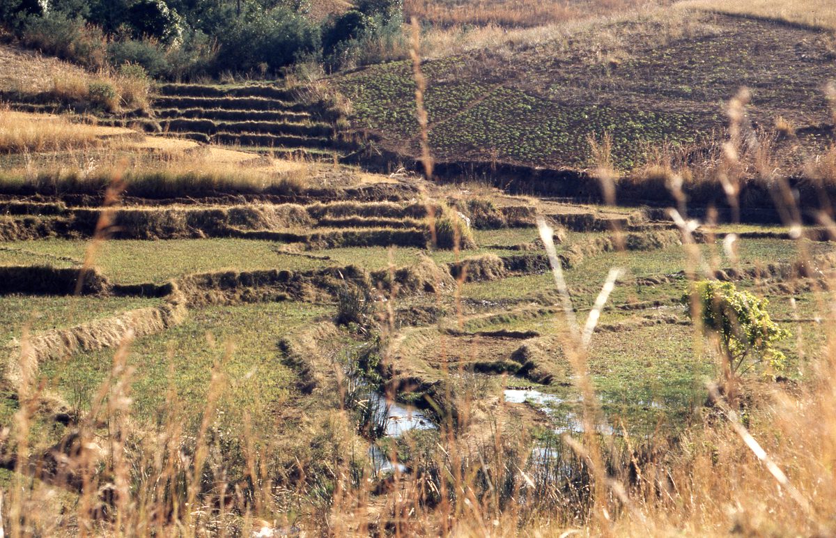 Madagaskar: Auf dem Weg zu den Quarz Minen außerhalb von Maize mit Herrn Justin.