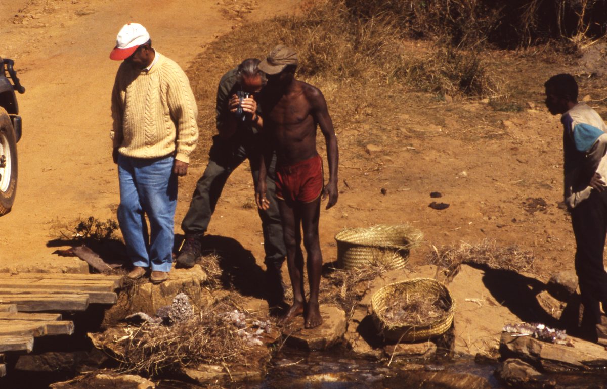 Madagaskar: Fahrt zu weiteren Quarz Minen in der Gegend von Ambotofinandrana, auch nicht so weit von Antsirabe.