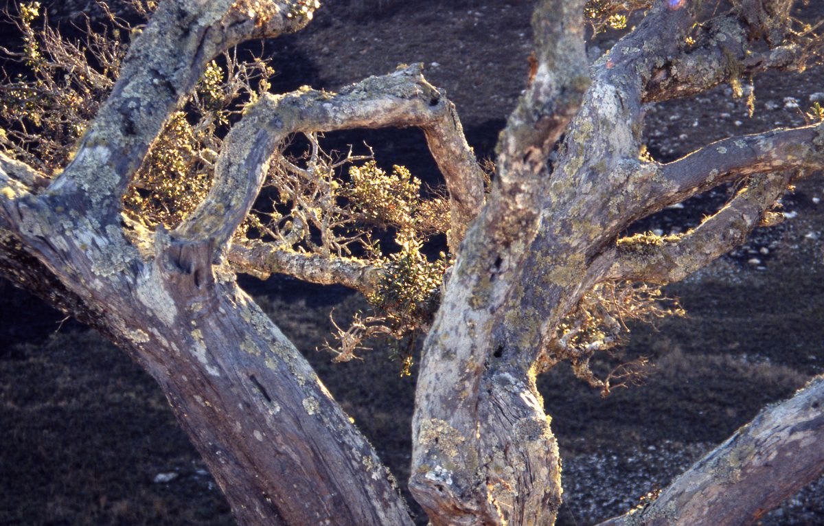 Madagaskar: Fahrt zu weiteren Quarz Minen in der Gegend von Ambotofinandrana, auch nicht so weit von Antsirabe.
