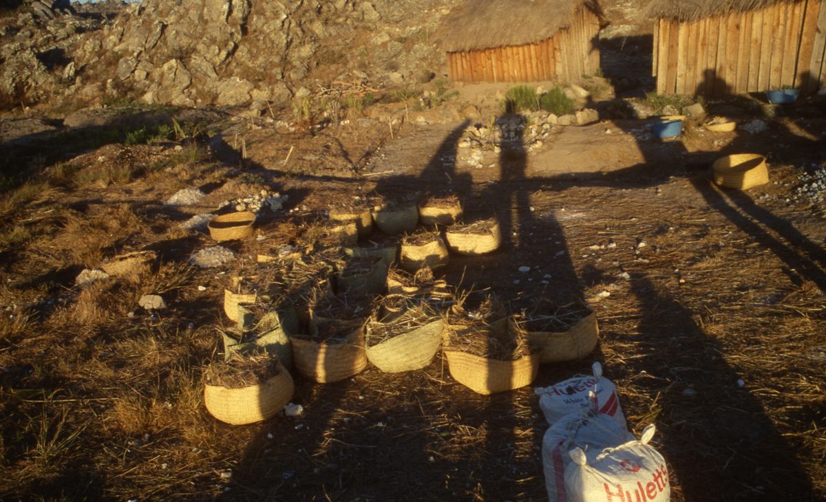 Madagaskar: Unser Camp am Fundort der Bergkristalle mit Fuchsit Phantomen.
