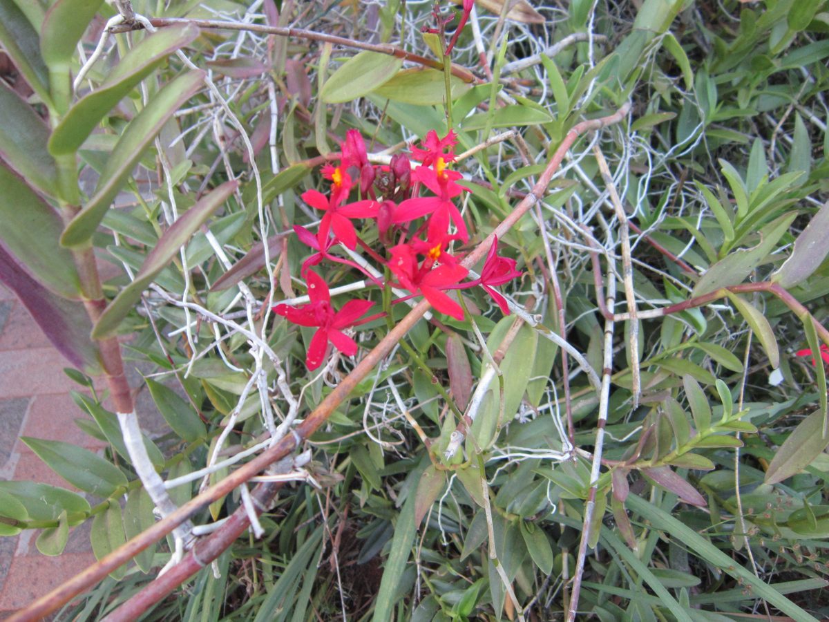 Madagaskar: Antsirabe und Umgebung