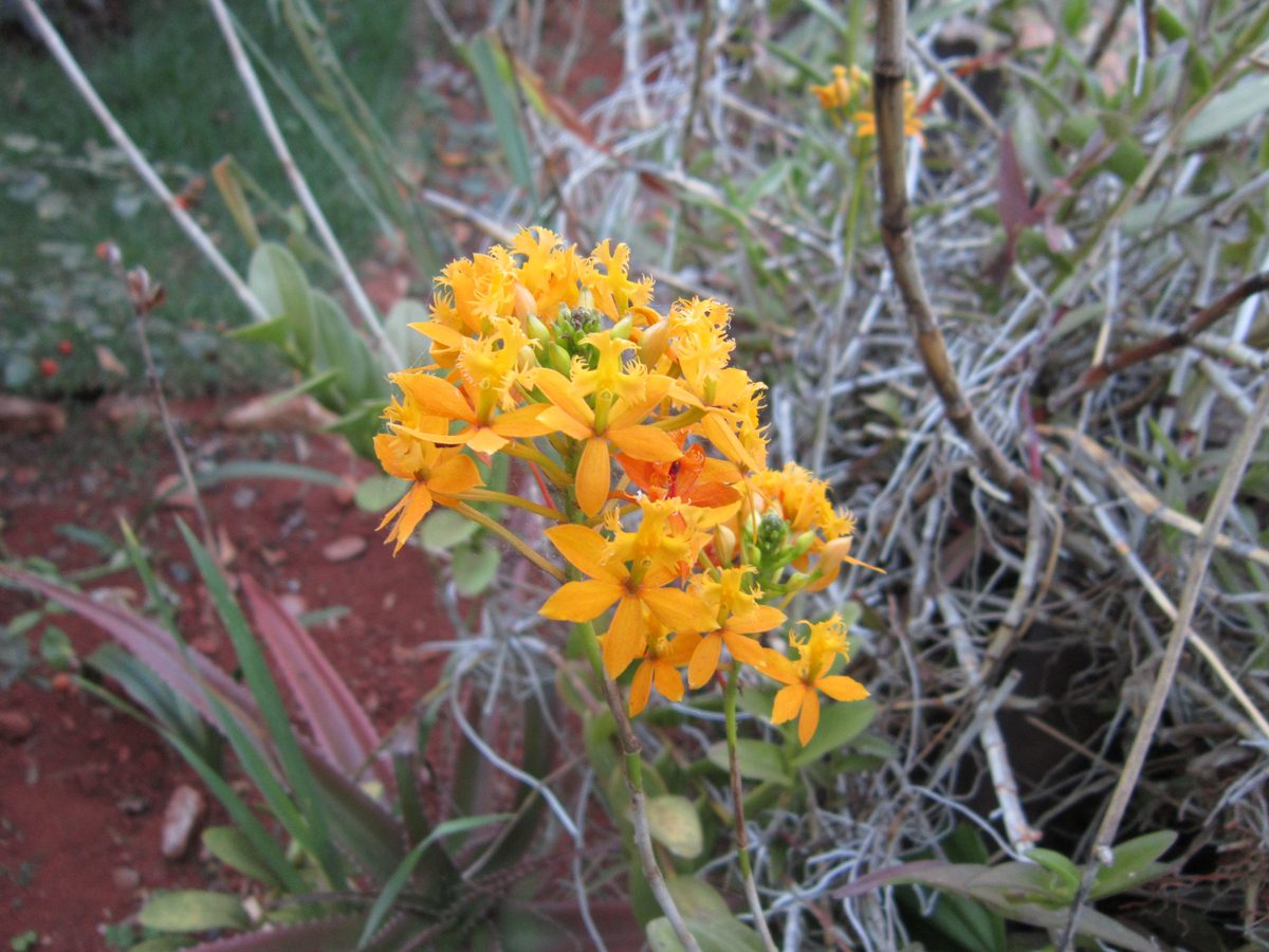 Madagaskar: Antsirabe und Umgebung