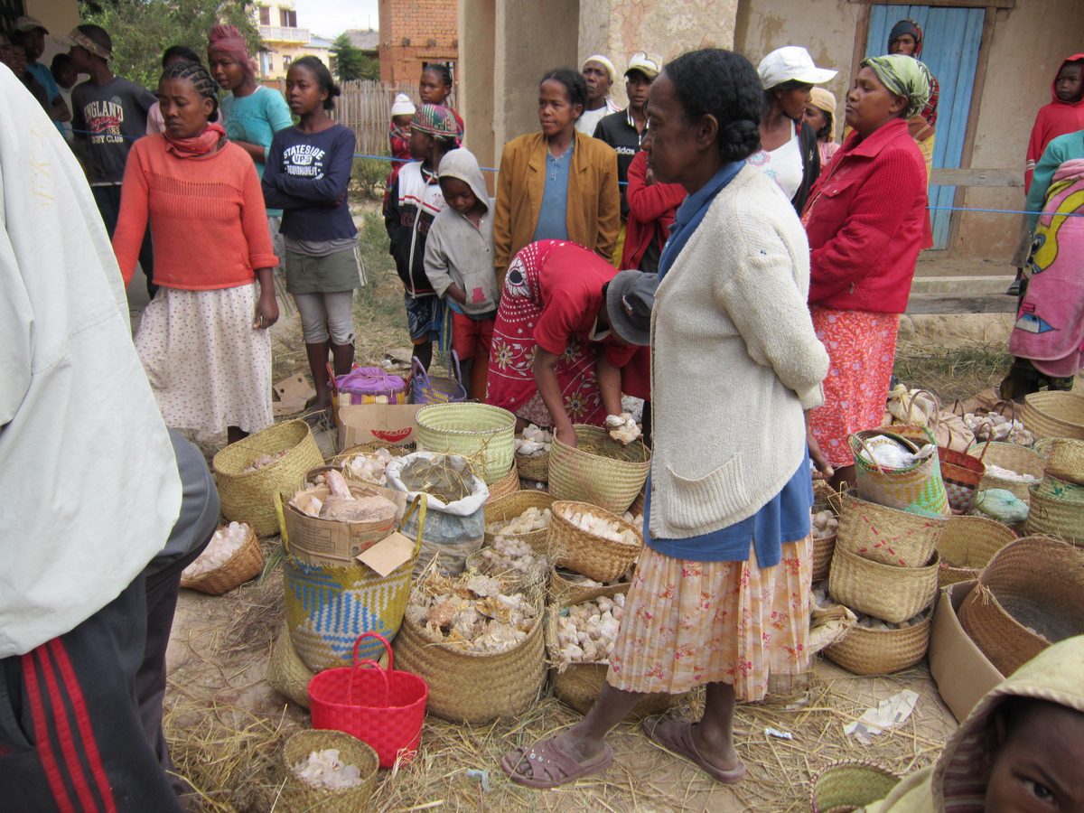 Madagaskar: Aufkauf von Bergkristallen bei lokalen Kleinbergleuten in Maize, unweit von Antsirabe.
